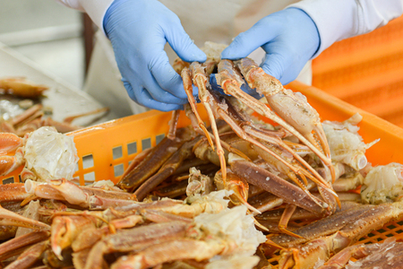 ボイル たらばがに 0.8kg（総重量 1kg ） 特大 5L シュリンクパック カジマ たらば蟹 タラバガニ たらばがに かに カニ 蟹_AF019