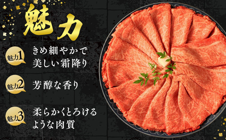 [A5等級] 飛騨牛 霜降り 牛肉 すき焼き ・ しゃぶしゃぶ 用 ロース スライス 800g A5 ※離島への配送不可