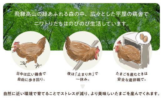 6ヶ月 定期便 平飼い 自然卵 30個 セット たまご 卵 飛騨高山 森のたまご農園 LW103