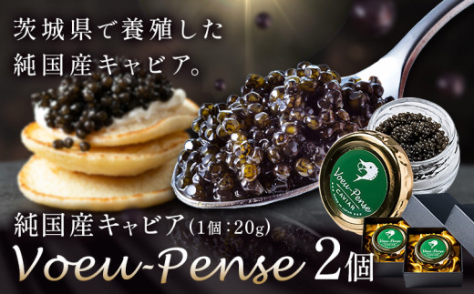 キャビア 純国産キャビア Voeu-Pense 2個 《12月中旬頃出荷》キャビアフィッシュカンパニー 高級 チョウザメ クラッカー バゲット パスタ 茨城県 河内町