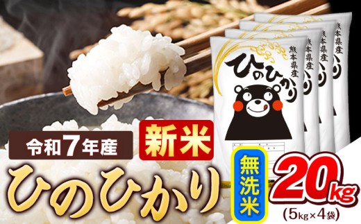 新米 令和7年産  無洗米 ひのひかり 20kg《11月上旬頃まで出荷》令和7年産 熊本県産 ふるさと納税 精米 ひの 米 こめ ふるさとのうぜい ヒノヒカリ コメ お米 おこめ