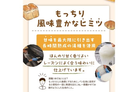 京都丹後　パンドミレーズン　3斤（4枚切り12枚）