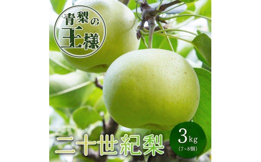 
                  二十世紀梨(秀) 3L 3kg
                