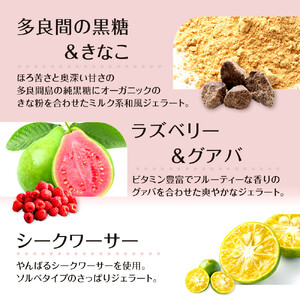 【ふるさと納税】ジェラート12個セット こころおどる  | アイス 沖縄  ジェラート アイス カップアイス アイスクリーム スイーツ