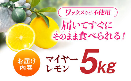 【先行予約】《長崎産》マイヤーレモン（５ｋｇ）