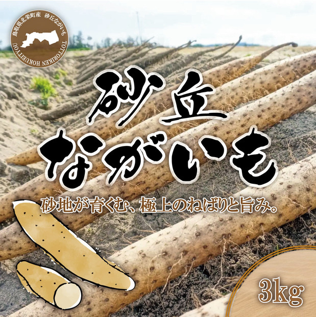 1114.砂丘ながいも3kg 313726_CL003