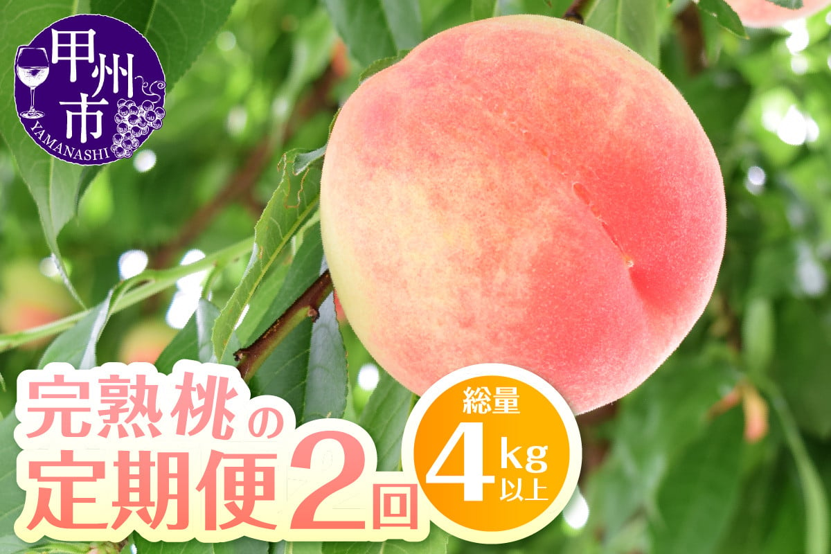 
            【定期便】完熟桃食べ比べ 2kg以上×2回送り【2025年発送】（HK）C1-442【桃 もも モモ 令和7年発送 期間限定 山梨県産 甲州市 フルーツ 果物】
          