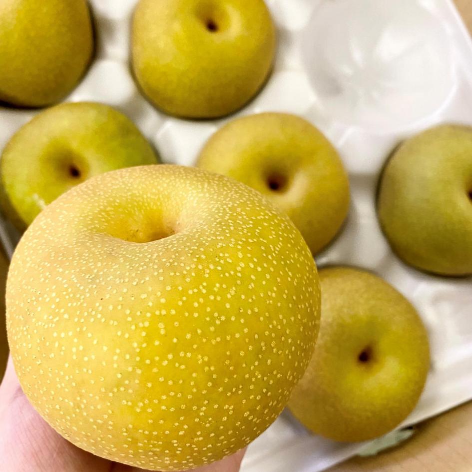 【 数量限定 】 伊万里 梨 豊水 2.5kg 113-B1078
