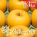 【ふるさと納税】先行予約 令和6年産 りんご シナノゴールド 3kg 訳あり 岩手県 金ケ崎町産 家庭用