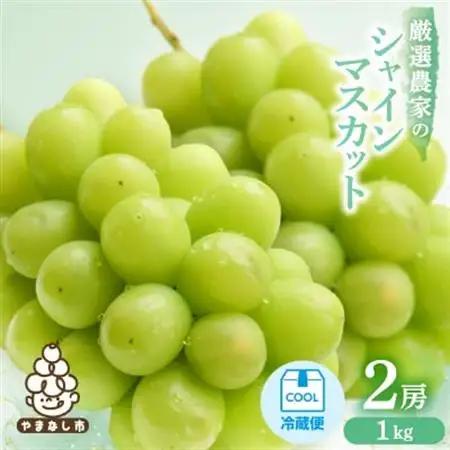 【2027年発送 先行受付】　シャインマスカット　2房 1kg【配送不可地域：離島】【1565519】