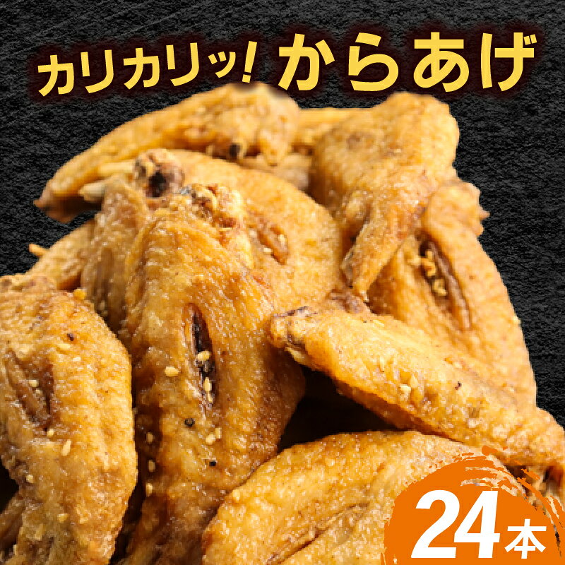 【ふるさと納税】九州産 秘伝タレ 手羽先 唐揚げ 24本 冷やしても美味しい 2WAY レンジで簡単 おかず おつまみ 惣菜 鶏肉 冷凍 福岡 ご当地グルメ 柳川市 清柳食産 送料無料
