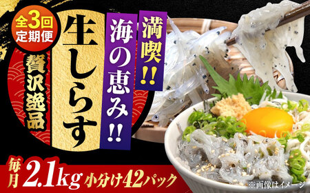 【全3回定期便】しらす 冷凍 シラス　小分け 干し 生しらすのプリッした食感と塩味が抜群！生しらす50g×42個 冷凍 シラス 鮮魚 ギフト 海鮮丼 広島県産 江田島市/三島水産株式会社[XCN017