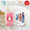 【ふるさと納税】 6ヶ月 約60kg 奇数月 おいでまい コシヒカリ こしひかり 食べ比べ 米 定期便 国産 オリジナル品種 精米 ご飯 食品 人気 おすすめ お取り寄せ お取り寄せグルメ 送料無料