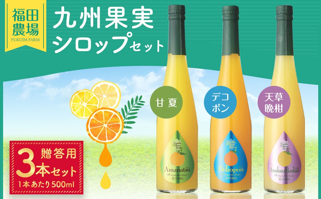 
                  【 贈答用 】 九州果実シロップ 3本セット （ 甘夏 、 デコポン 、 天草晩柑 ） 贈答品 プレゼント ギフト シロップ フルーツシロップセット フルーツシロップ フルーツ くだもの 果物
                