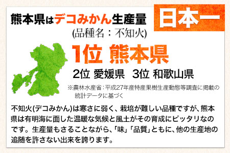 ご家庭用 デコみかん 約5kg 12～24玉前後《2024年2月上旬-4月末頃より出荷予定》デコポン（不知火）と同品種 熊本県産 熊本県 長洲町 訳あり