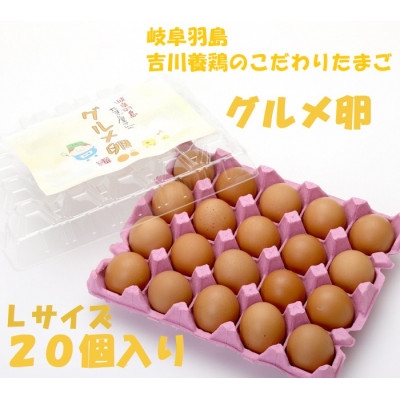 
                  吉川養鶏のグルメ卵　Lサイズ20個(割れ保証4個含む)羽島観光協会推奨＜はしまブランド＞認定品_卵 たまご タマゴ グルメ卵 新鮮 健康な鶏 こだわり飼料 臭みを抑えた 卵黄 濃厚 卵白 美味しい 卵かけご飯 送料無料【1715941】
                