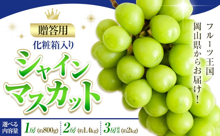 
                  贈答用 フルーツ王国 岡山県産 シャインマスカット 化粧箱入り 1房 2房 3房 前後 Lino ＆ Kai Farm《2026年10月上旬-11月中旬頃出荷》マスカット 送料無料 岡山県 浅口市 ギフト シャインマスカット 岡山 ぶどう フルーツ 果物
                