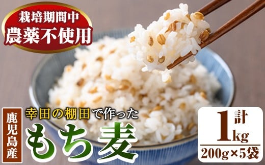 y215 棚田で作ったもち麦200g×5袋(計1kg)！日本棚田百選に選定されている「鹿児島県湧水町幸田棚田のもち麦」国産 九州産 鹿児島産 もち麦 ごはん ご飯 ダイエット 健康【福永商店】