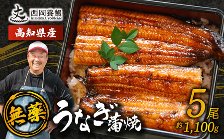 【 うなぎの蒲焼き 】国産 うなぎの蒲焼 1.1kg ( 220g × 5尾 ) 