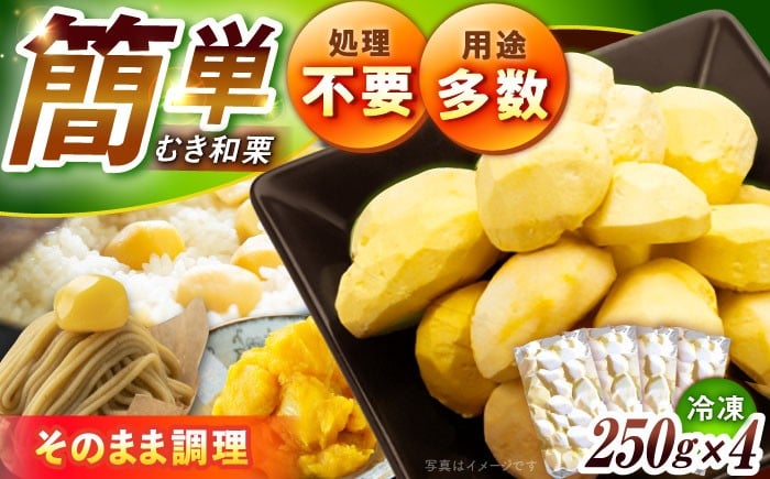 
                  冷凍むき栗「日本栗」 計1kg（250g×4P） / 栗 冷凍 生栗 くり むき栗 マロン 低温熟成 日本栗 国産 恵那市産 産地直送 お取り寄せ ギフト 贈答 プレゼント / 恵那市 / えな笠置山栗園 [AUAV003]
                