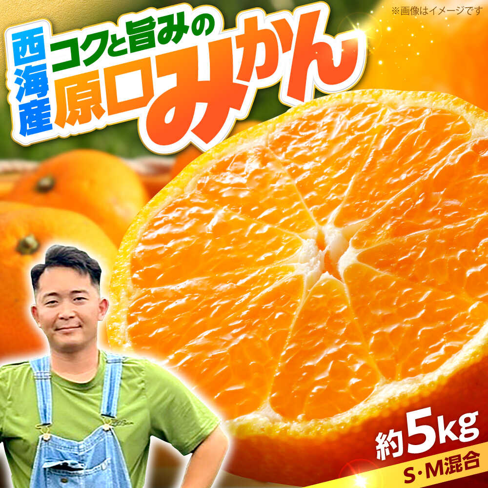 【ふるさと納税】【数量限定】 原口みかん 約5kg （傷み保証分200g含む）＜田川農園＞[CGR001] 西海みかん 原口みかんミカン 蜜柑 果物 柑橘 デザート 剥きやすい 甘味 果汁 おやつ 甘い 西海 10000円 一万円