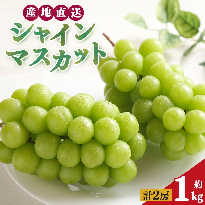 【ふるさと納税】シャインマスカット 2房 約1kg | 果物 くだもの フルーツ ぶどう 葡萄 ブドウ シャイン マスカット 奈良県 平群町