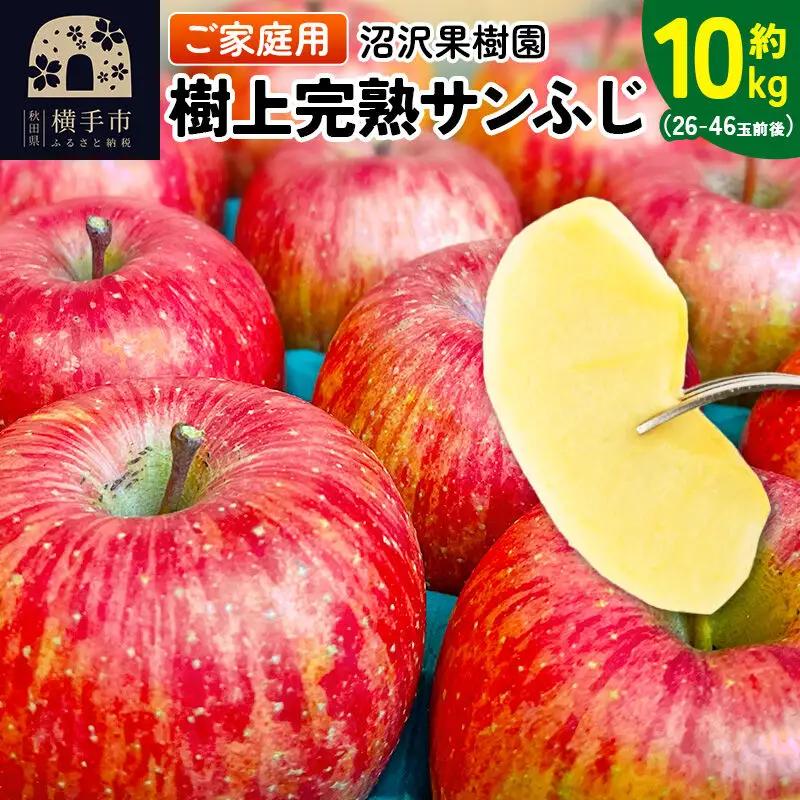 【先行受付】12月上旬より発送 樹上完熟サンふじ ご家庭用 約10kg（26～46玉前後）