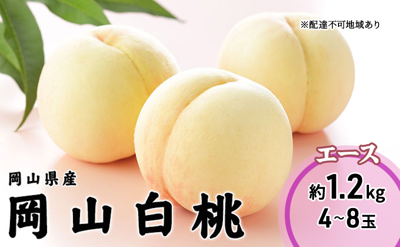 桃 2026年 先行予約 岡山 白桃 エース 4～8玉 1.2kg 岡山県産 JAおかやまのもも  モモ 岡山県産 国産 フルーツ 果物 ギフト
