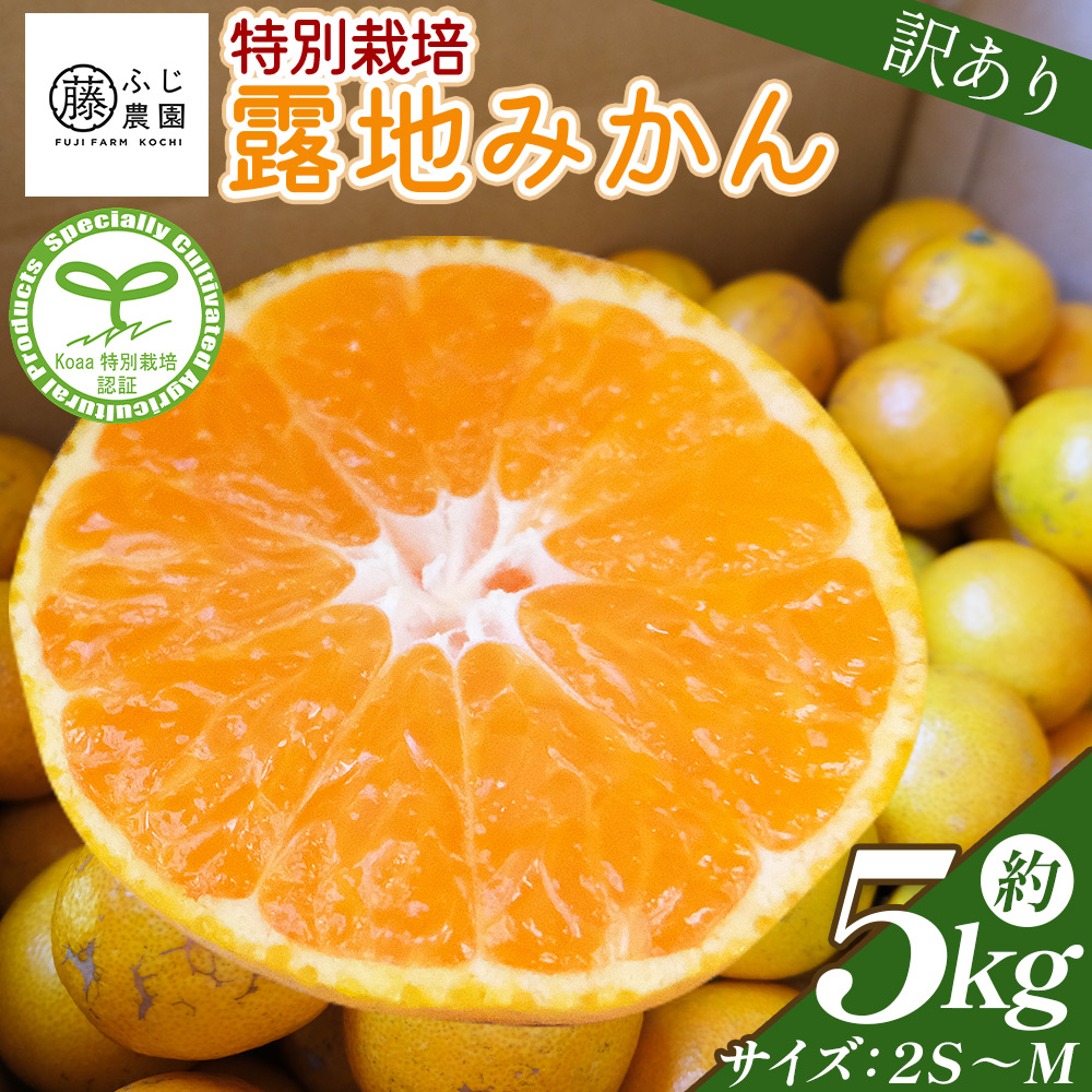 ふじ農園の露地みかん 訳あり品 5kg (2S～M)  - 国産 蜜柑 ミカン 柑橘 果物 フルーツ 訳アリ ご家庭用 家庭用 自宅用 ふじ農園 高知県 香南市 常温 fn-0005