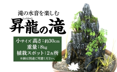 ビオトープ昇龍の滝小サイズ滝音メダカビオトープ