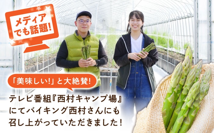 アスパラ 旬 野菜 グリーンアスパラ とれたて アスパラガス 朝採り 夏野菜