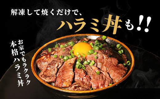 ※12月寄附限定 タン先炭火焼付※【 厚切り 】牛 ハラミステーキ【500g】 焼肉 ハラミ 焼き肉 はらみ 塩味 牛肉 肉 冷凍 小分け パック キャンプ バーベキュー 067-0678