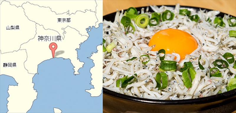 湘南大磯しらす網元 松道丸・釜揚げしらす 3パック 600g （200g×3）【 しらす 魚介類 海鮮 惣菜 おかず ギフト 簡単調理 冷凍配送 送料無料 大磯グルメ 神奈川県 大磯町】