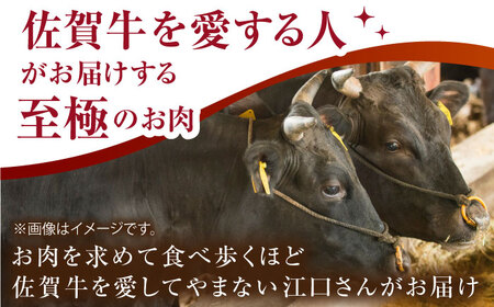 【美食家も虜になる上質な部位】佐賀牛 ヒレ サイコロステーキ 400g（200g×2パック）【がばいフーズ】A5ランク 佐賀牛[HCS083]