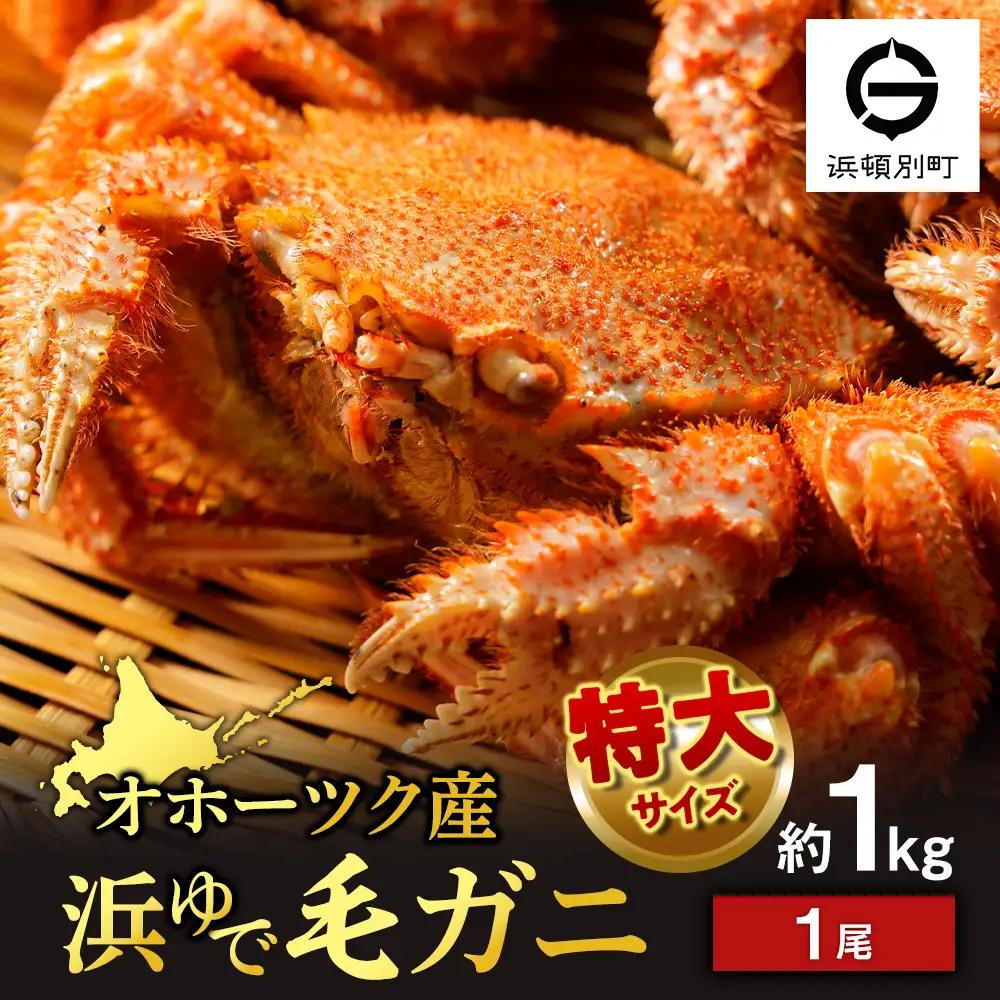 ボイル毛ガニ 1kg 1尾