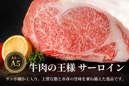 【冷蔵配送】 飛騨牛 サーロインブロック 5kg ローストビーフ ステーキ 焼肉 A5 A4 サーロインステーキ サーロイン ブロック ブロック肉 塊肉 国産 牛 冷凍 和牛 牛肉 白川 ギフト 贈答