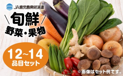 【JA直売所セレクト】旬鮮野菜・果物セット（12～14品目）　K072-001