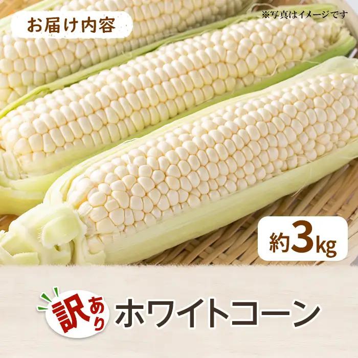 ＜先行予約！2027年6月上旬以降順次発送予定＞＜訳あり＞ホワイトコーン(約3kg) 香川県 国産 とうもろこし トウモロコシ 新鮮 冷蔵便 【man109-A】【Aglio nero】