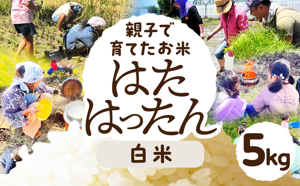 
            お米 選べる 2kg 5kg 白米 玄米 お米 米 コメ こめ ご飯
          