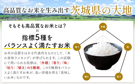 【6ヶ月定期便】米 茨城 ふるさと米 無洗米 10kg《申込月の翌月より出荷開始》