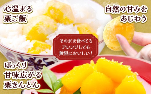 栗 生栗 1kg とくちゃん農園《2026年9月中旬-10月下旬頃出荷予定》熊本県 菊池市 栗 くり 熊本県産 秋の味覚 果物 くだもの フルーツ デザート ご飯