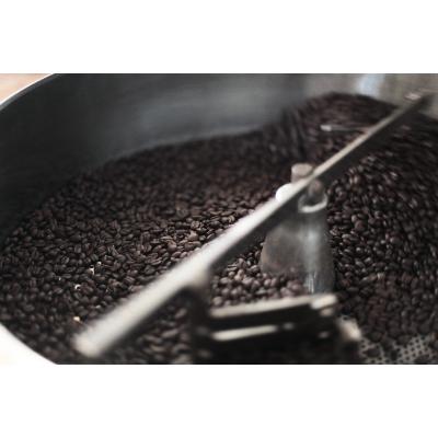 ふるさと納税 朝倉市 珈琲山口 レギュラー珈琲 100g×6種 (豆のまま)