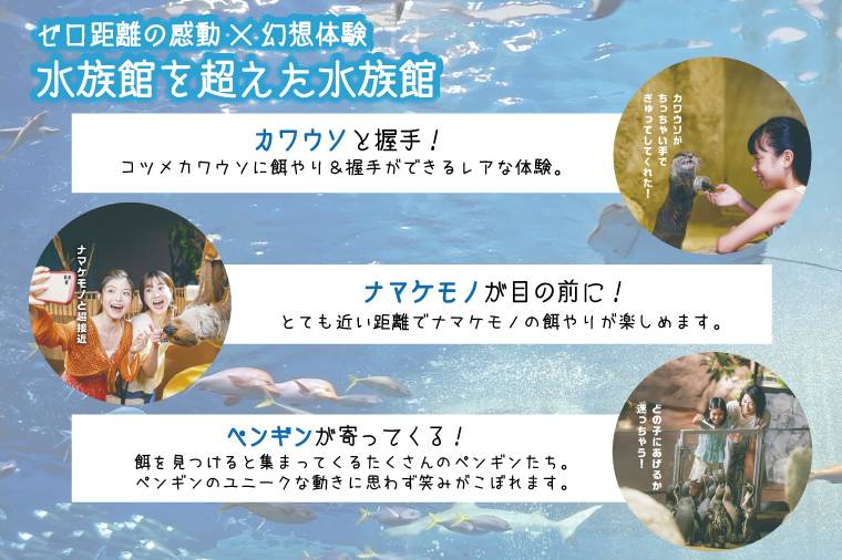「DMMかりゆし水族館」入場券 大人1名(18歳以上)｜水族館 入場券 チケット 旅行 観光 沖縄旅行 沖縄 おきなわ 豊見城市(DG001)