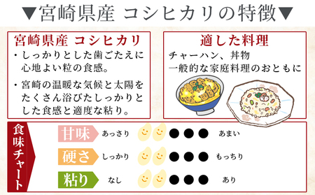 ＜令和7年度産新米　宮崎県産コシヒカリ　20kg＞14営業日以内に順次出荷【 国産 米 お米 最速便 白米 精米 こしひかり ごはん ご飯 白飯 食品 】【b0846_su】