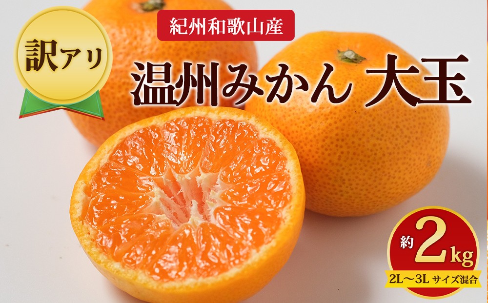 
                  【先行予約】【訳あり】紀州和歌山産 大玉 温州みかん 約2kg（箱込み） 2L～3L サイズ混合
                