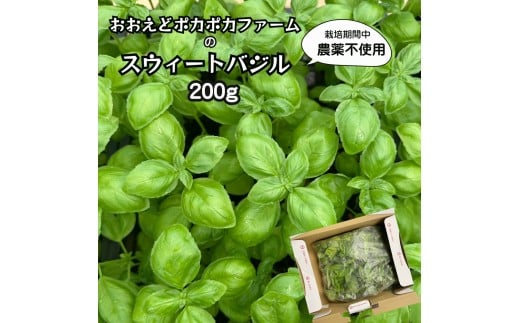 スウィートバジル 200g 栽培期間中農薬不使用 ハーブ おおえどポカポカファーム 摘みたて フレッシュバジル  就労継続支援Ｂ型事業所 おおえどの里 先行予約 ５月より発送開始