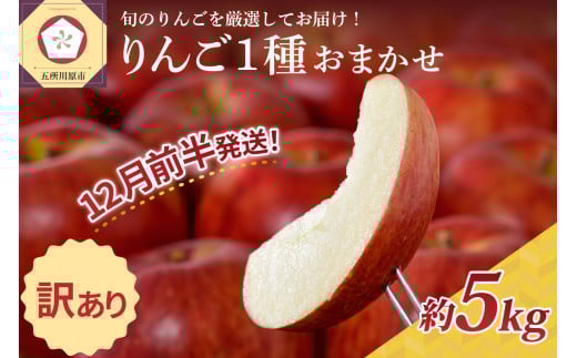 【2025年12月前半発送】 【訳あり】 りんご 青森産 約5kg 品種おまかせ1種