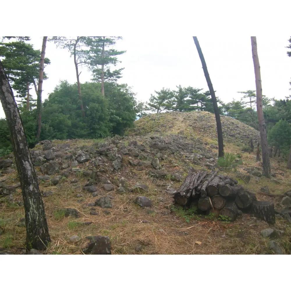 文化財専門員と行く！石清尾山古墳群（峰山地区）ガイド見学ツアー