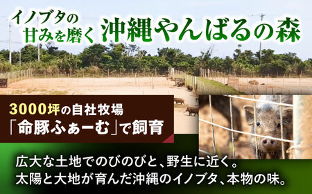 『命豚レバー好きセット』 豚肉 レバーパテ レバーペースト スモークレバー おつまみ 詰め合わせ お取り寄せ 国産 ギフト 冷凍 沖縄市 / DELICATESSEN NUCHIBUTA[BCAR00