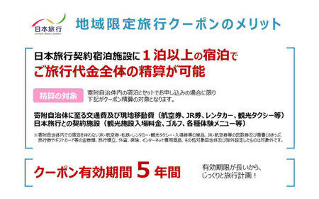 沖縄旅行 沖縄県沖縄市 日本旅行 地域限定旅行クーポン 30万円分  BCAC006 クーポン